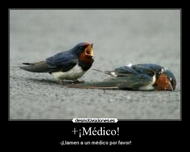 +¡Médico! - -¡Llamen a un médico por favor!