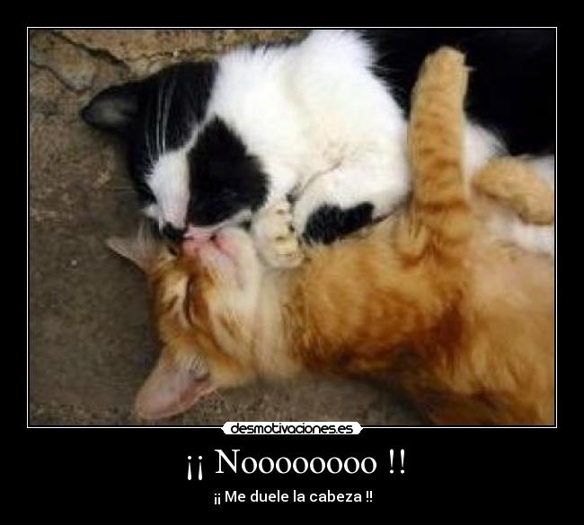 carteles mejor excusa desmotivaciones