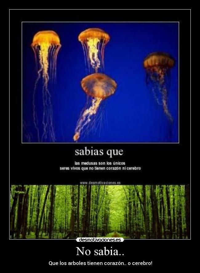 No sabia.. - 