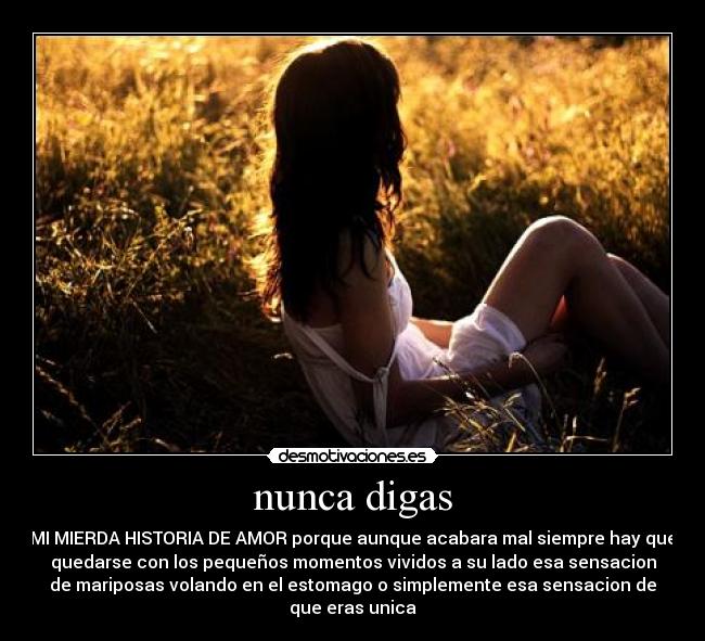 nunca digas - MI MIERDA HISTORIA DE AMOR porque aunque acabara mal siempre hay que
quedarse con los pequeños momentos vividos a su lado esa sensacion
de mariposas volando en el estomago o simplemente esa sensacion de
que eras unica