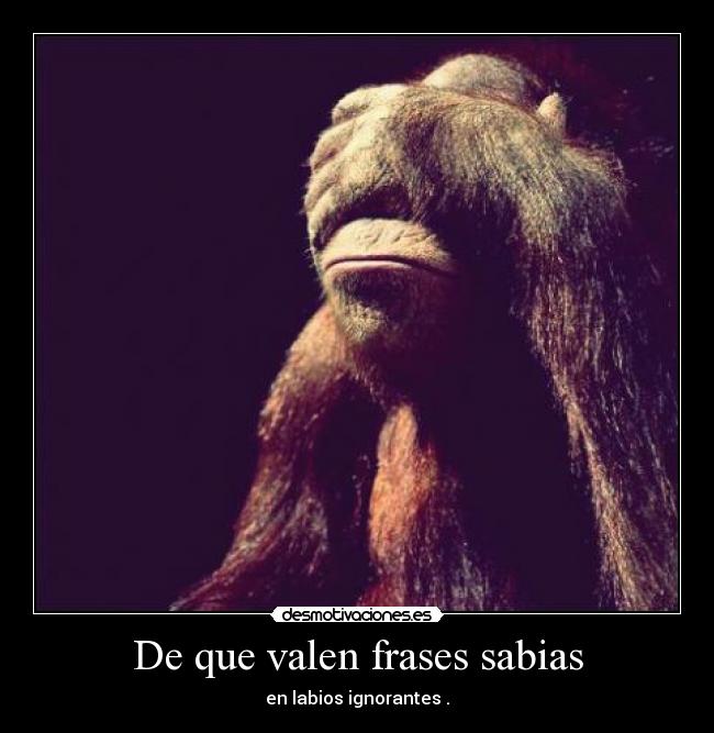 De que valen frases sabias - 