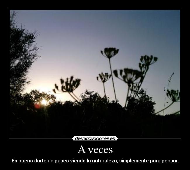 carteles gfger desmotivaciones