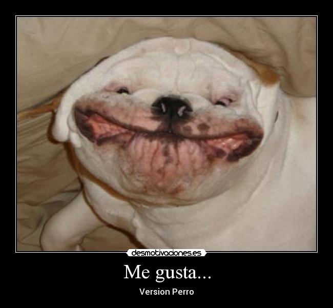 Me gusta... - Version Perro