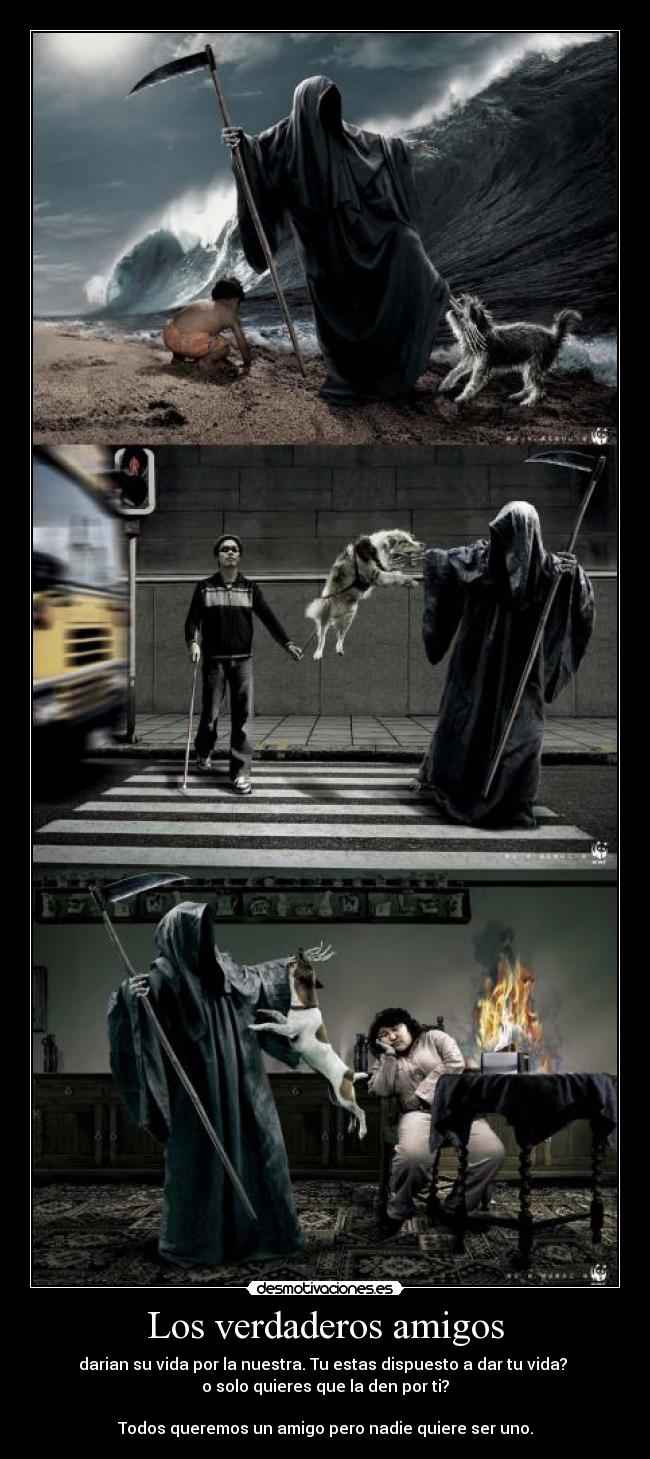 Los verdaderos amigos - darian su vida por la nuestra. Tu estas dispuesto a dar tu vida? 
o solo quieres que la den por ti?

Todos queremos un amigo pero nadie quiere ser uno.