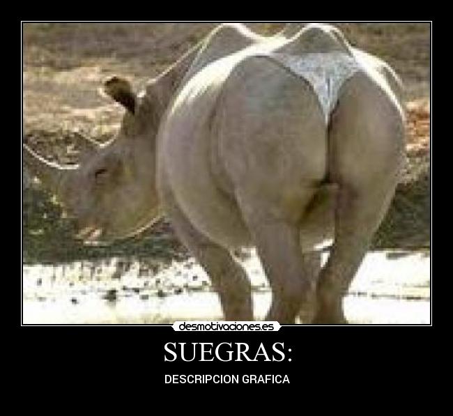 SUEGRAS: -