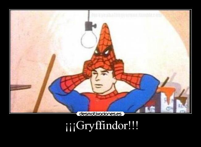 ¡¡¡Gryffindor!!! -