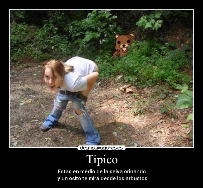 Tipico - Estas en medio de la selva orinando
y un osito te mira desde los arbustos