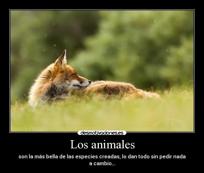 Los animales -