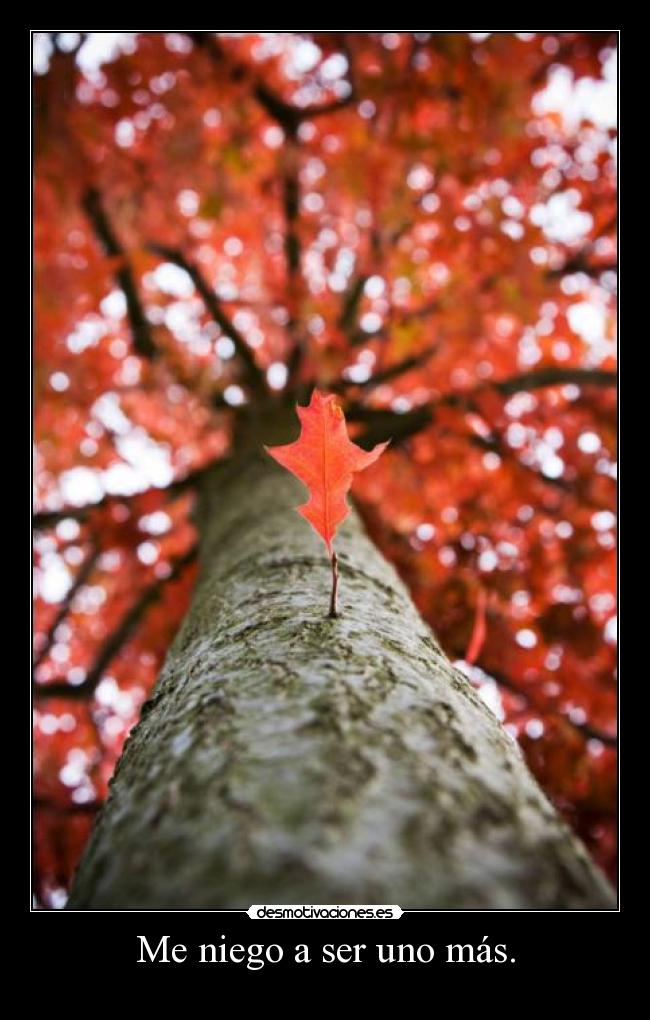 Me niego a ser uno más. -