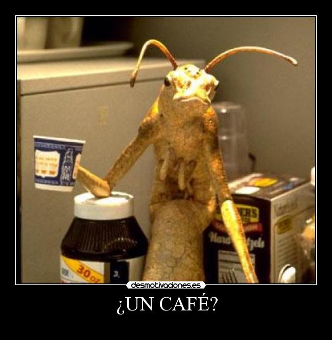 ¿UN CAFÉ? - 