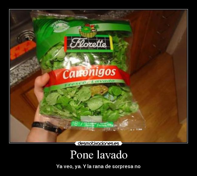 Pone lavado - Ya veo, ya. Y la rana de sorpresa no