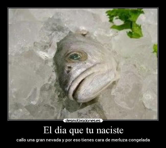 El dia que tu naciste - callo una gran nevada y por eso tienes cara de merluza congelada