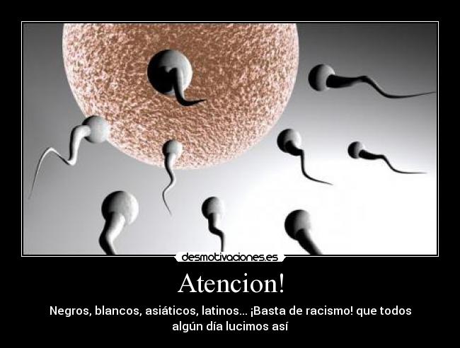 Atencion! - Negros, blancos, asiáticos, latinos... ¡Basta de racismo! que todos
algún día lucimos así
