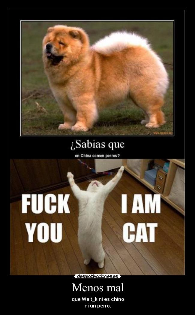 Menos mal - que Walt_k ni es chino
ni un perro.