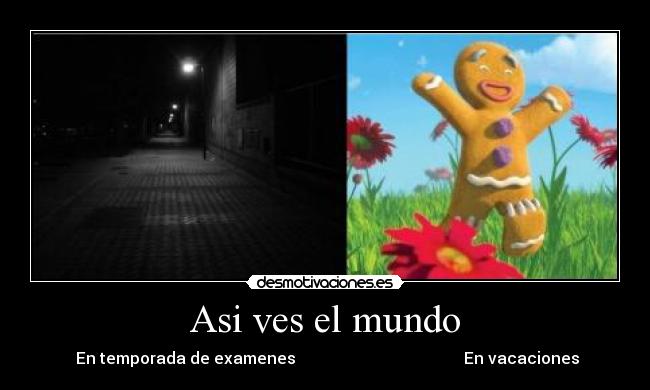 carteles mundo vida feliz desmotivaciones