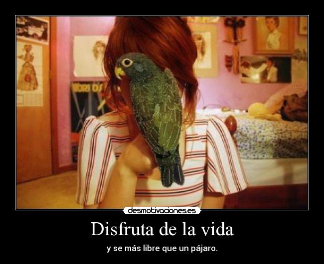 Disfruta de la vida - 