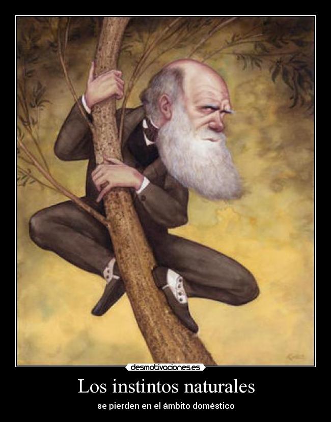 carteles darwin desmotivaciones