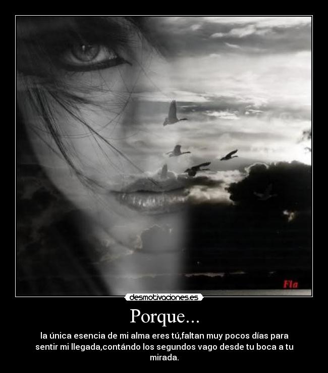 Porque... - 