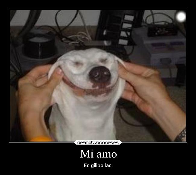 Mi amo - Es gilipollas.