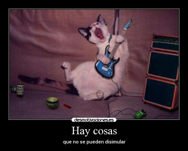 Hay cosas - que no se pueden disimular