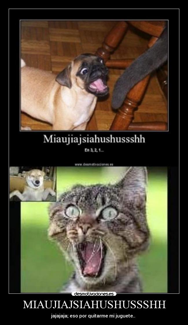 carteles miaaaauuuuuushpasngdk desmotivaciones