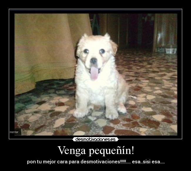 Venga pequeñín! -
