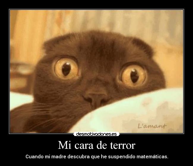 Mi cara de terror - 