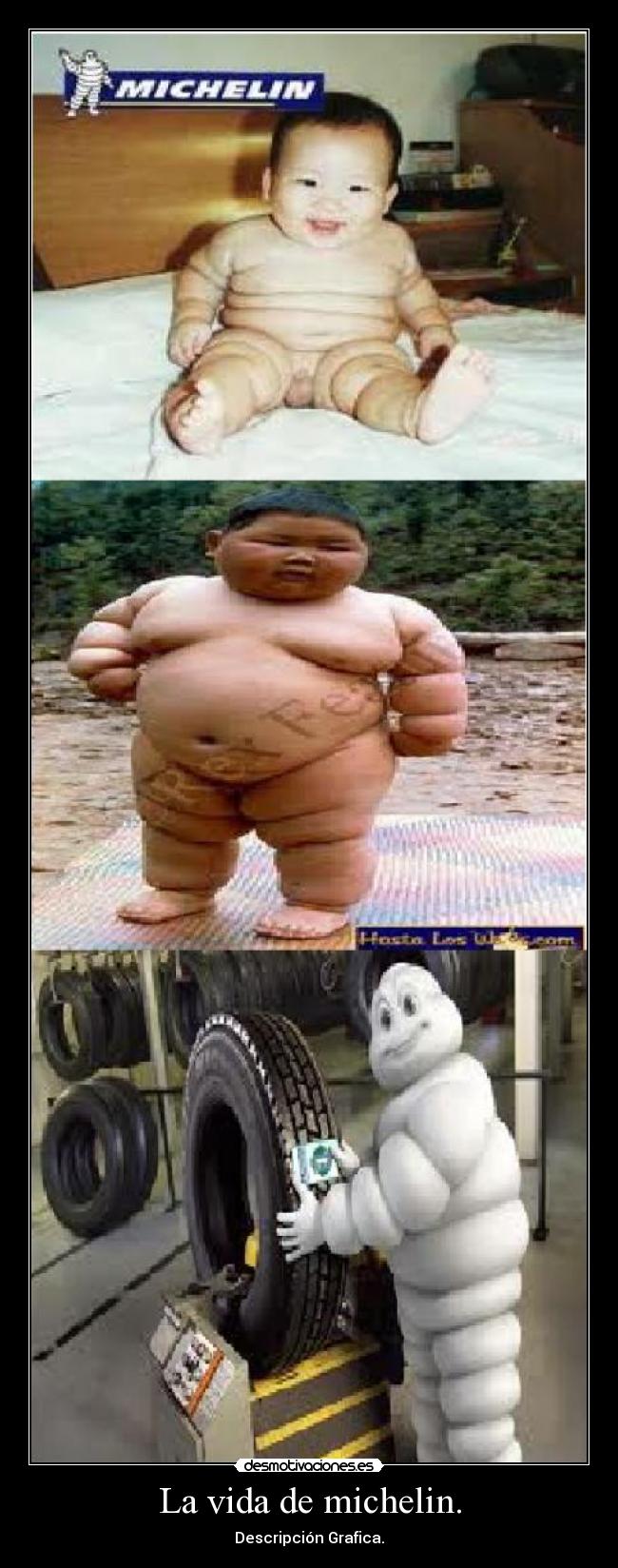 La vida de michelin. - Descripción Grafica.