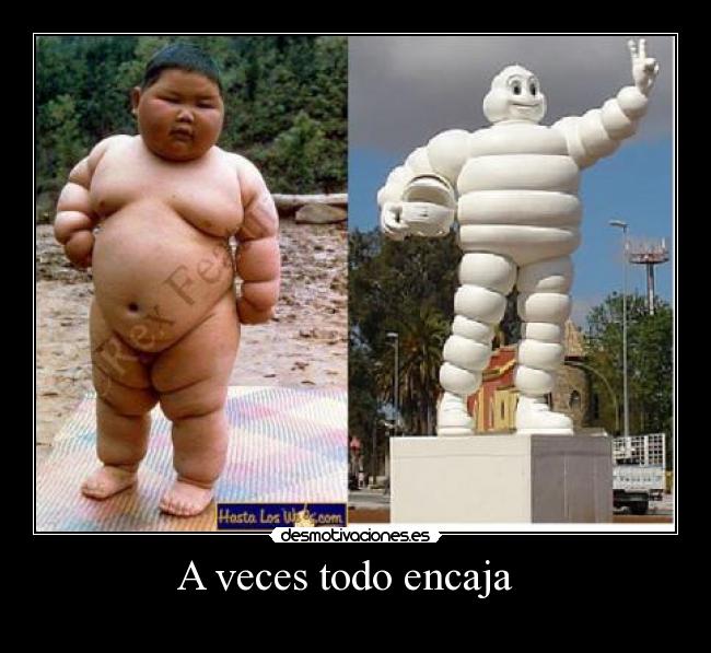 A veces todo encaja -