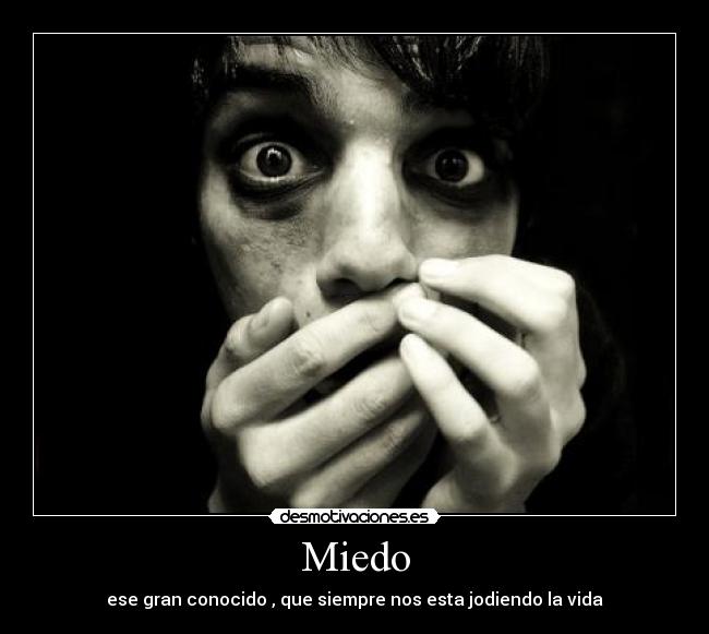 Miedo - ese gran conocido , que siempre nos esta jodiendo la vida