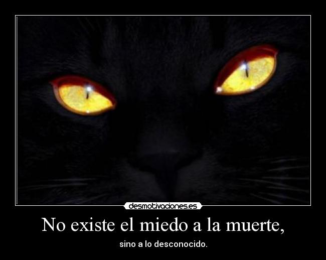 No existe el miedo a la muerte, - 