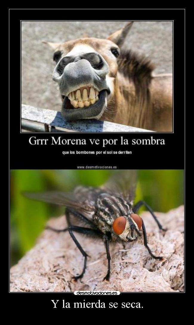 Y la mierda se seca. -