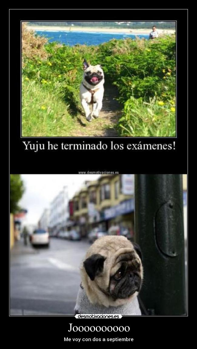 Joooooooooo - Me voy con dos a septiembre