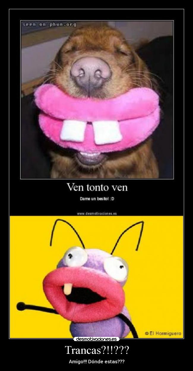 Trancas?!!??? - 