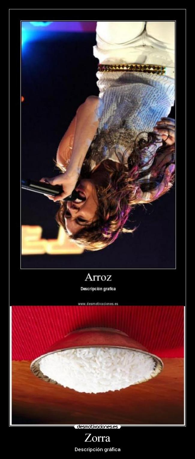 Zorra - Descripción gráfica