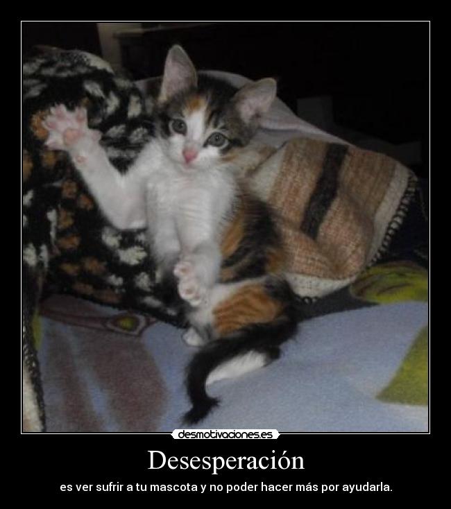 Desesperación -