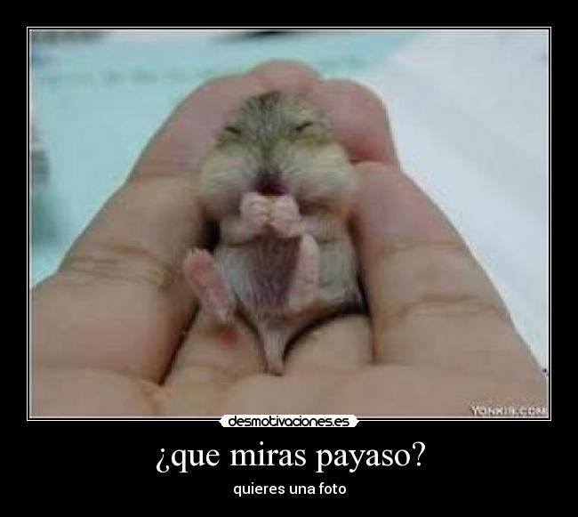 ¿que miras payaso? - 