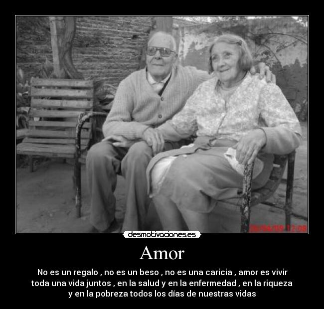Amor - 