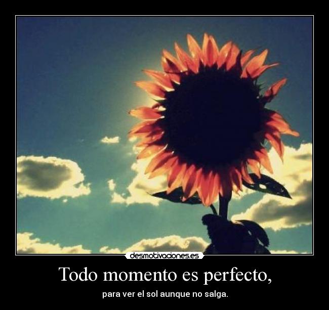 Todo momento es perfecto, - 