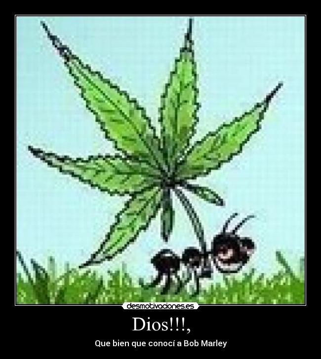 Dios!!!, - Que bien que conocí a Bob Marley