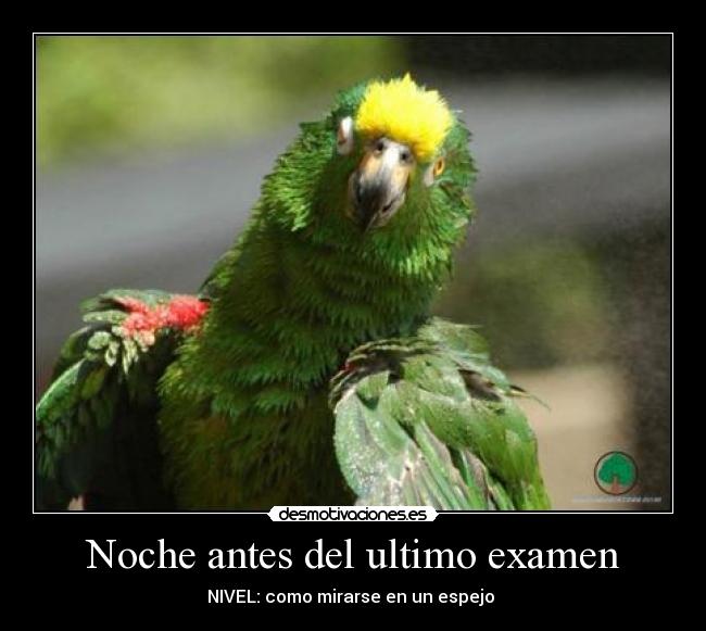 Noche antes del ultimo examen - NIVEL: como mirarse en un espejo