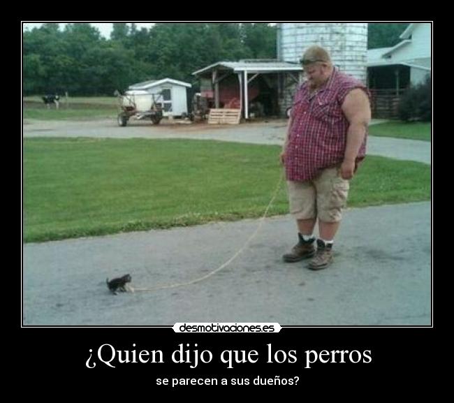 ¿Quien dijo que los perros - 