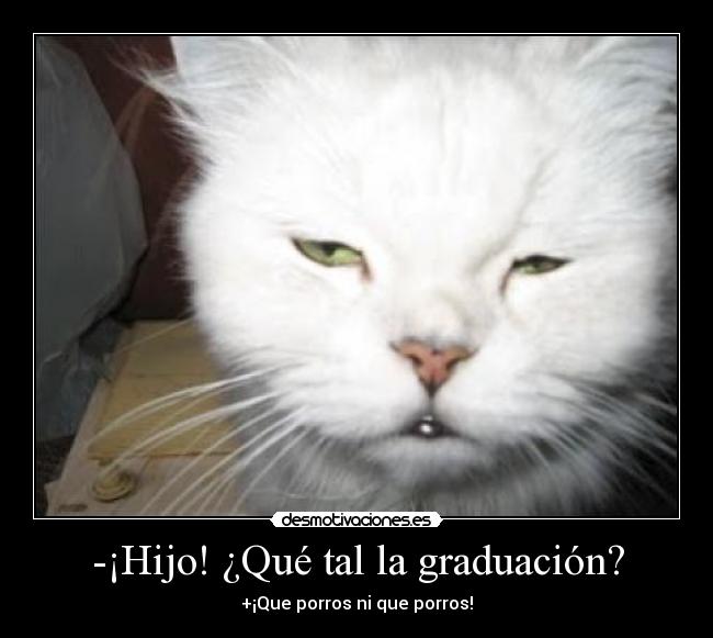-¡Hijo! ¿Qué tal la graduación? - +¡Que porros ni que porros!