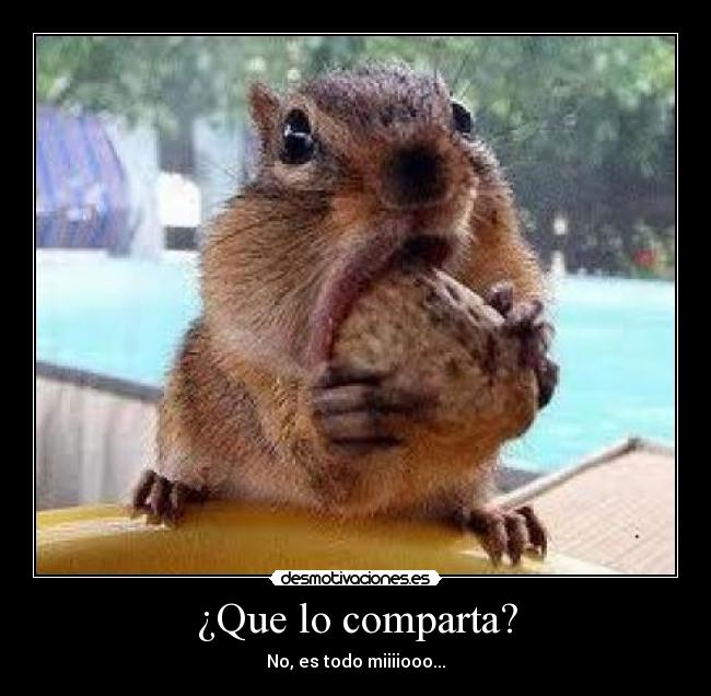 carteles ardillahuete desmotivaciones