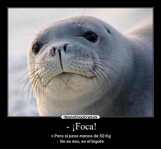 - ¡Foca! - 