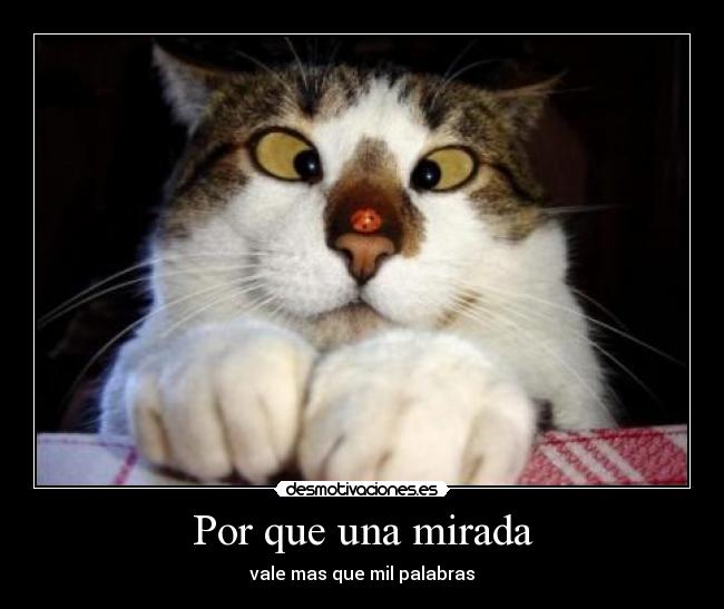 Por que una mirada - 