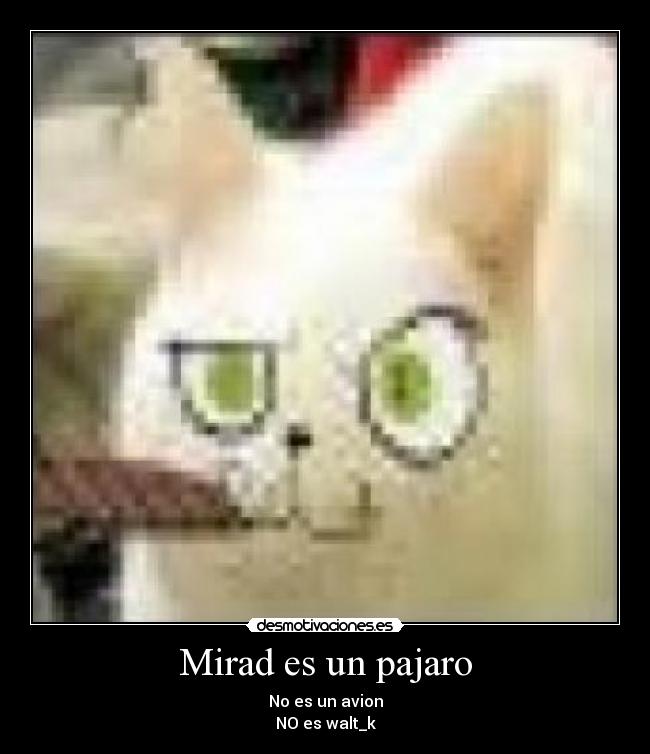 Mirad es un pajaro - No es un avion
NO es walt_k