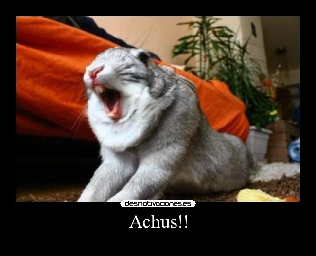 Achus!! -