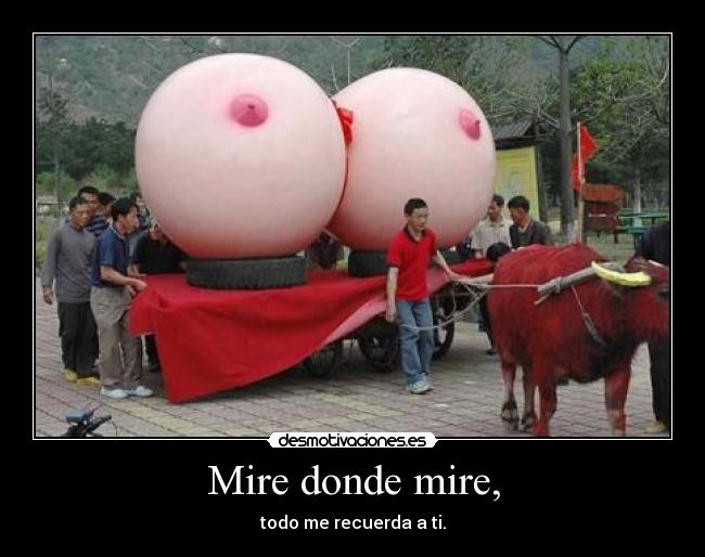 Mire donde mire, - todo me recuerda a ti.