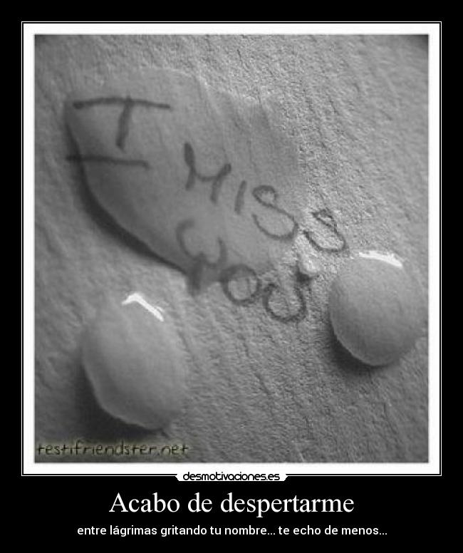 Acabo de despertarme -